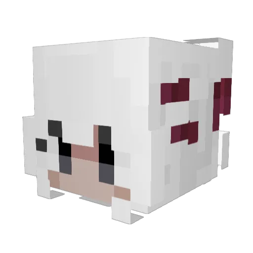 Weichenyu Minecraft avatar head, 3D render