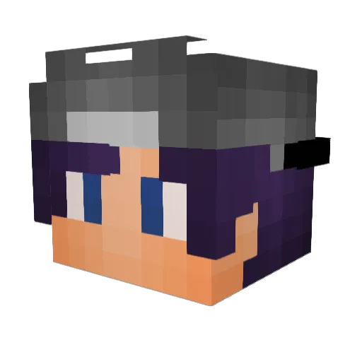 Weidan_X Minecraft avatar head, 3D render