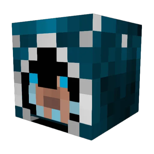 Weidenn Minecraft avatar head, 3D render