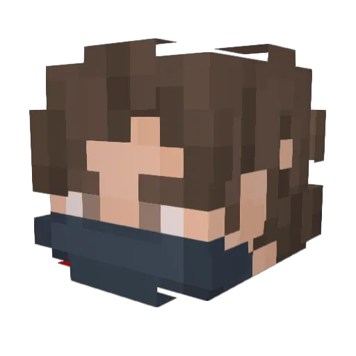 Weigelt Minecraft avatar head, 3D render