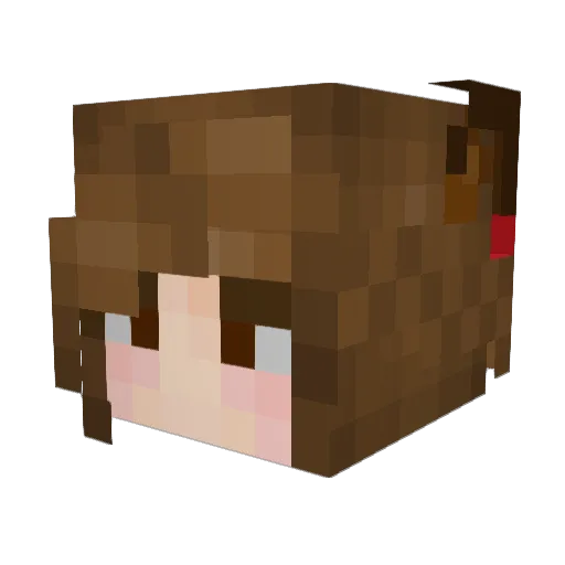 Weigertc Minecraft avatar head, 3D render