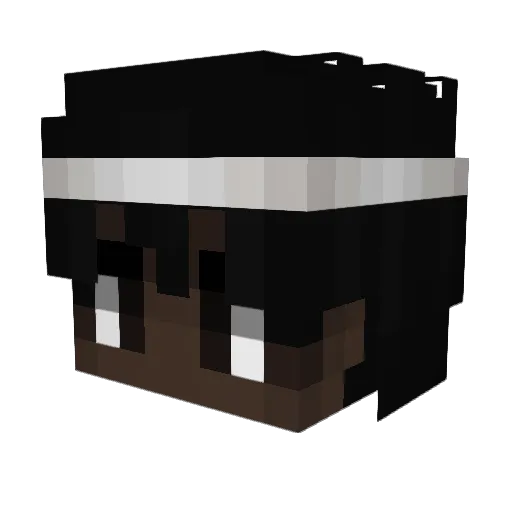 Weiirdoo Minecraft avatar head, 3D render