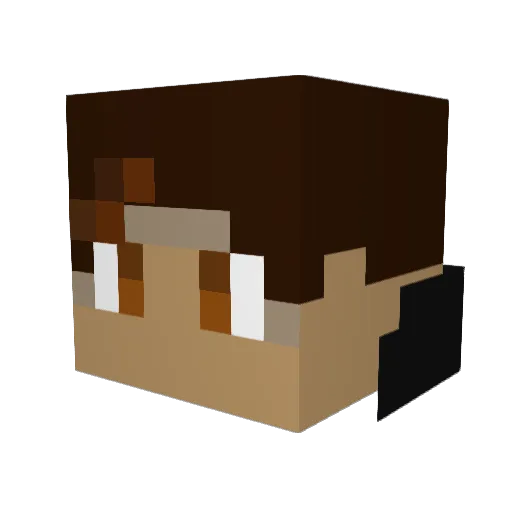 Wein_Lmao Minecraft avatar head, 3D render