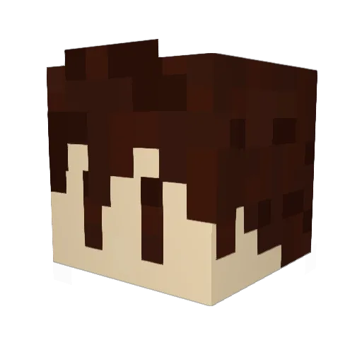 WeinerSZ Minecraft avatar head, 3D render