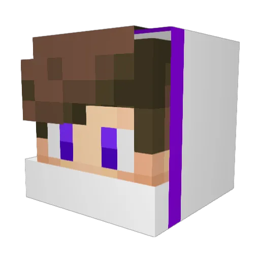 Weins122 Minecraft avatar head, 3D render