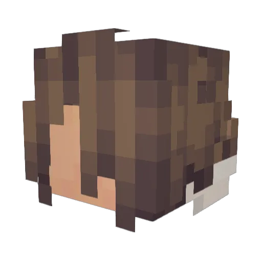 Weird0Thing Minecraft avatar head, 3D render
