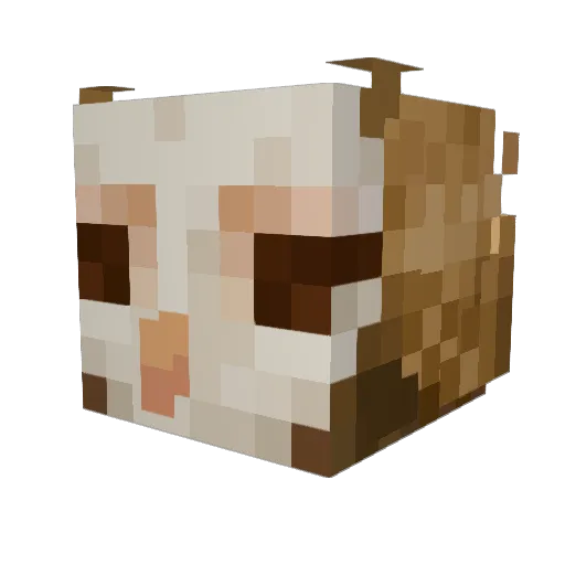 Weird0_02 Minecraft avatar head, 3D render