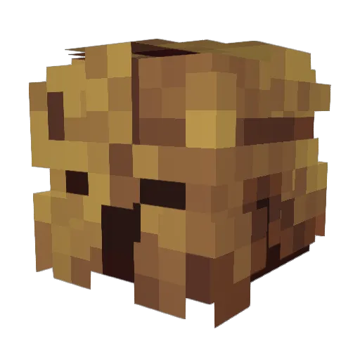 Weird1st_ Minecraft avatar head, 3D render