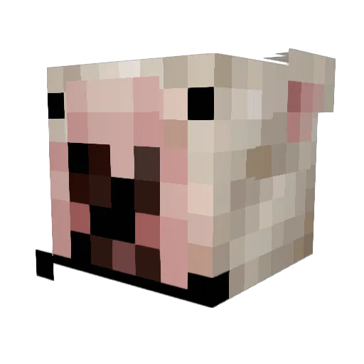 WeirdArmadillo Minecraft avatar head, 3D render