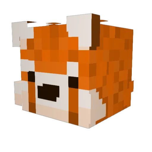 WeirdAutumn36 Minecraft avatar head, 3D render