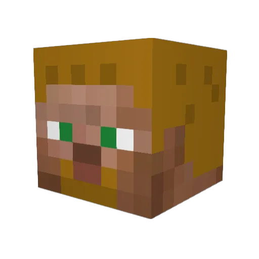 WeirdBeardBisqit Minecraft avatar head, 3D render