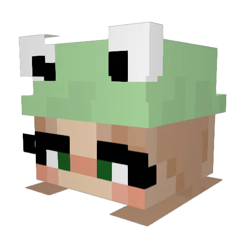 WeirdGraq Minecraft avatar head, 3D render