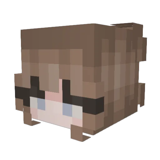 WeirdLarocas Minecraft avatar head, 3D render