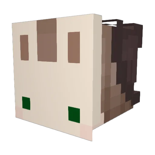 WeirdLight Minecraft avatar head, 3D render