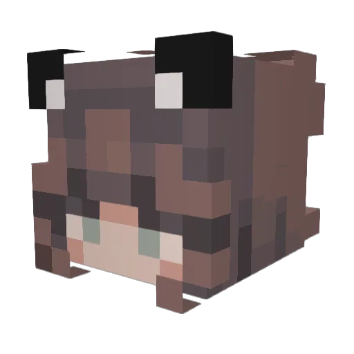 WeirdMantra Minecraft avatar head, 3D render