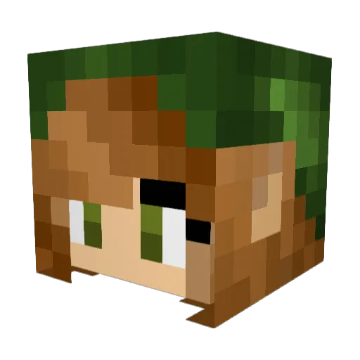 WeirdRoyalty Minecraft avatar head, 3D render