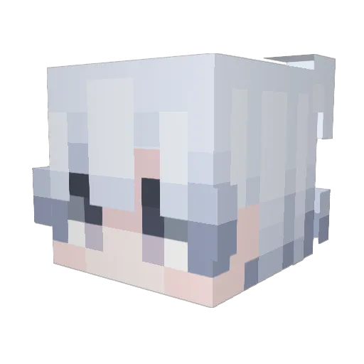 WeirdSian Minecraft avatar head, 3D render