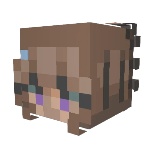 Weird_Sprout Minecraft avatar head, 3D render