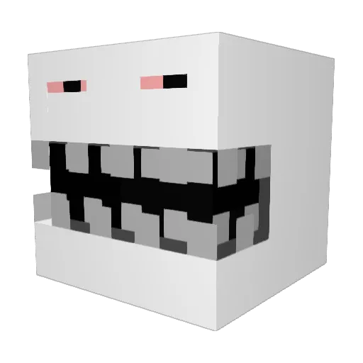 Weirddude0 Minecraft avatar head, 3D render
