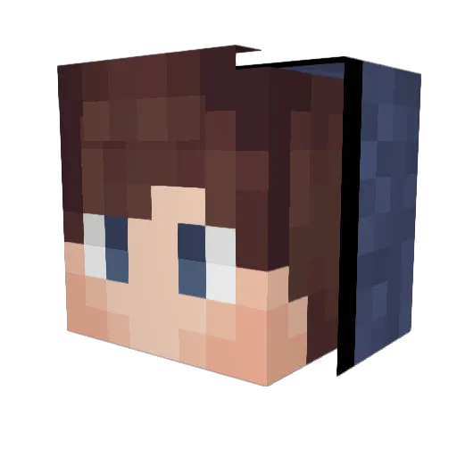 WeirdlySexyFrog Minecraft avatar head, 3D render