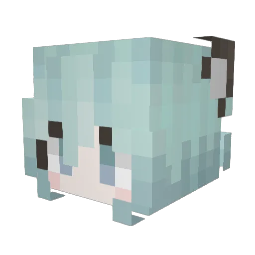 Weirdo8 Minecraft avatar head, 3D render