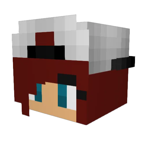 Weirdo_Flare Minecraft avatar head, 3D render