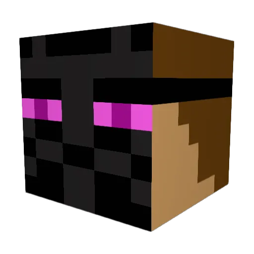Weirdobro2 Minecraft avatar head, 3D render