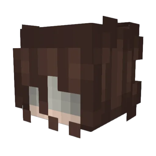WeirdosInc Minecraft avatar head, 3D render