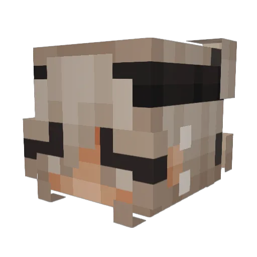 Weirdsamie Minecraft avatar head, 3D render