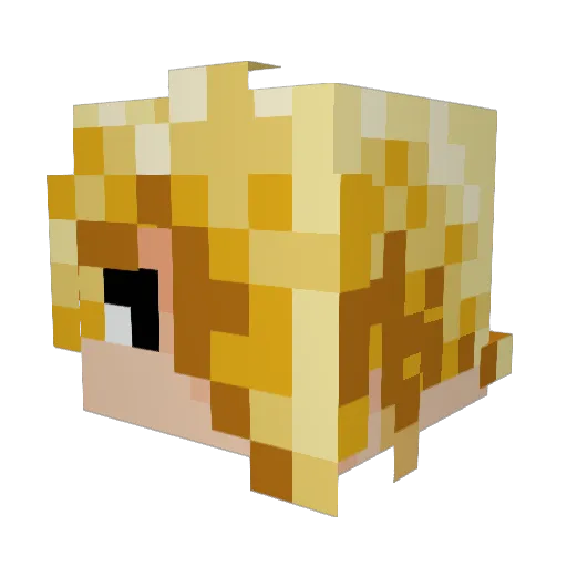 WeitRM Minecraft avatar head, 3D render