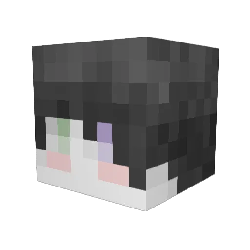 Wejtu Minecraft avatar head, 3D render