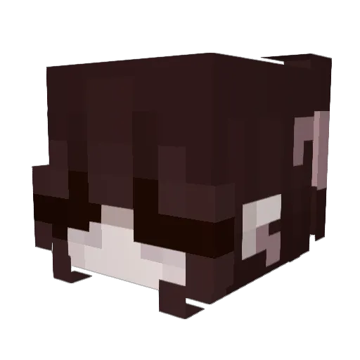Wekah Minecraft avatar head, 3D render
