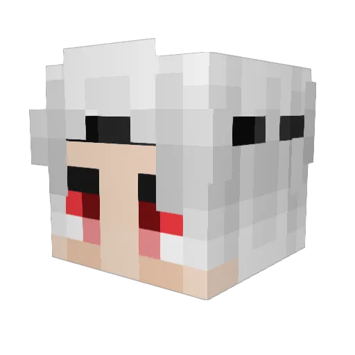 Weksi21 Minecraft avatar head, 3D render