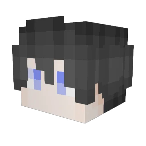 Wel_lan Minecraft avatar head, 3D render