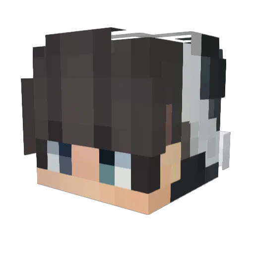 WelcomeAgain Minecraft avatar head, 3D render