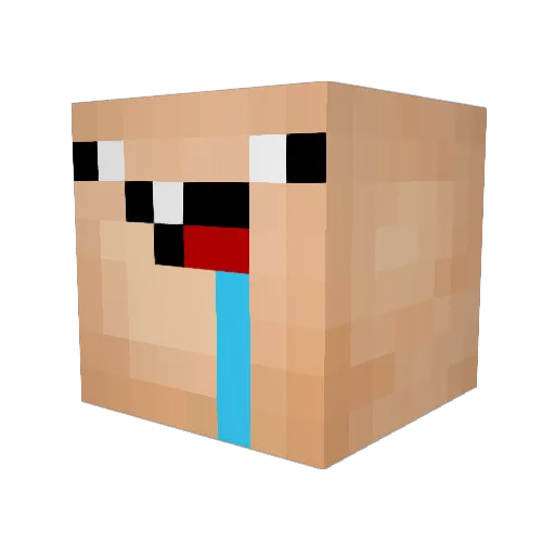 WelcomeRefugees Minecraft avatar head, 3D render