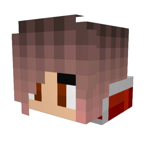 Weldess Minecraft avatar head, 3D render