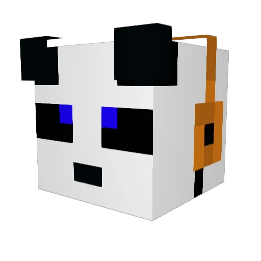 Weldon1337 Minecraft avatar head, 3D render