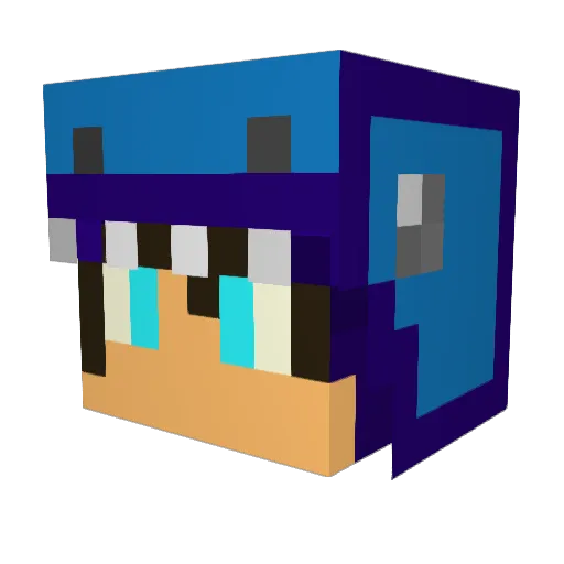 Welissonxp1 Minecraft avatar head, 3D render