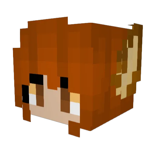 Welkser Minecraft avatar head, 3D render