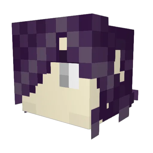 WellEnderoll Minecraft avatar head, 3D render