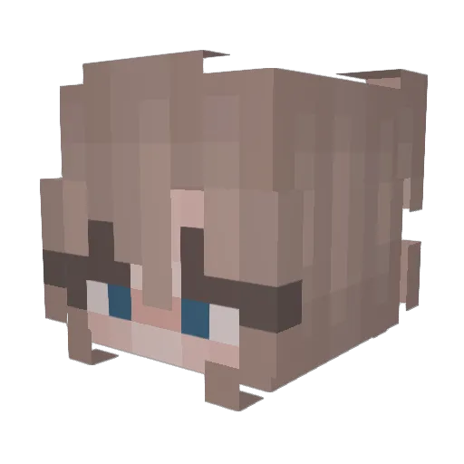 WellMadeToast Minecraft avatar head, 3D render