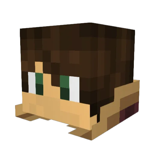 WellPepe_d Minecraft avatar head, 3D render
