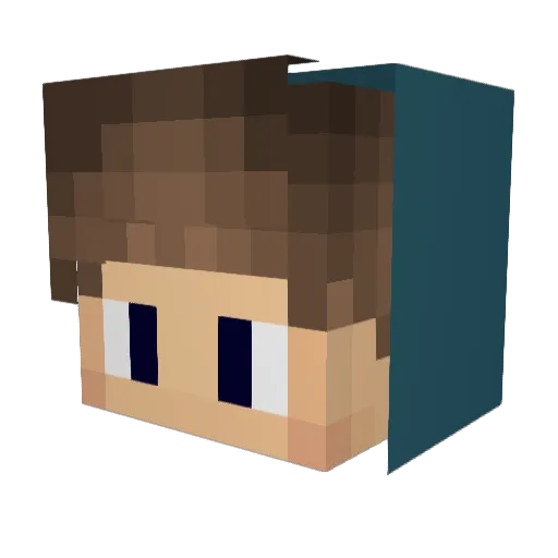 WellSaltedWound Minecraft avatar head, 3D render