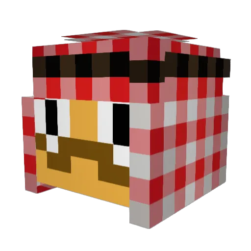 WellWellWell1212 Minecraft avatar head, 3D render