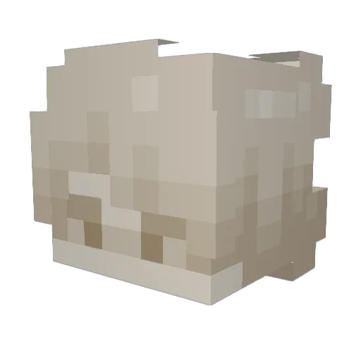 Well_We_Tried Minecraft avatar head, 3D render