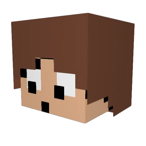 Wellchie Minecraft avatar head, 3D render