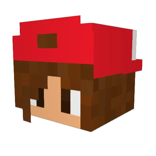 Wellensitich Minecraft avatar head, 3D render
