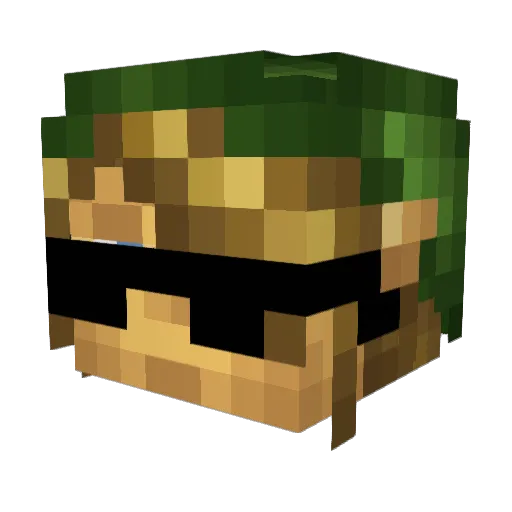 Wellington1 Minecraft avatar head, 3D render