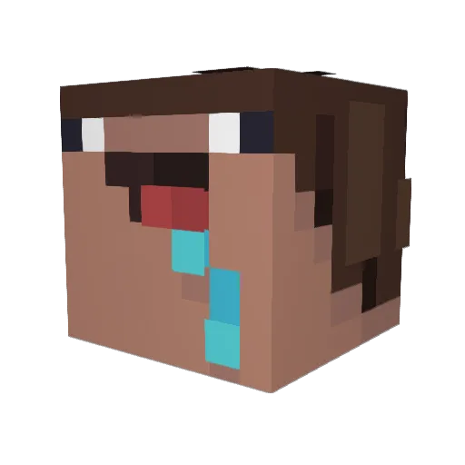 Wellmoney Minecraft avatar head, 3D render